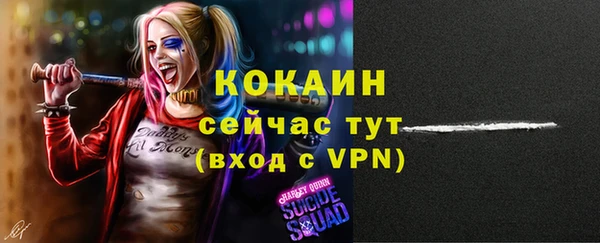 apvp Семёнов